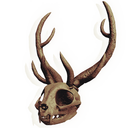 Skull of the Forest King