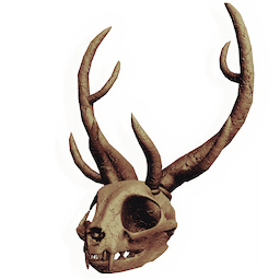 Skull of the Forest King