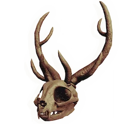 Skull of the Forest King