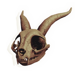 Longhorn Rodent Skull