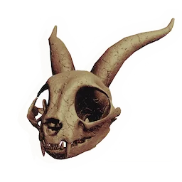 Longhorn Rodent Skull