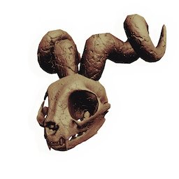 Glorious Rodent Skull
