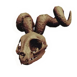 Glorious Rodent Skull