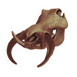 Bullhog Skull