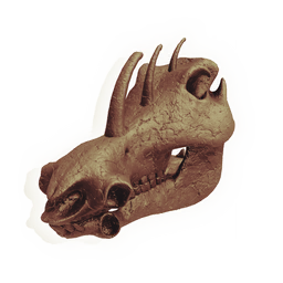 Swinehorn Skull