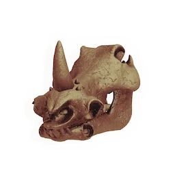 Charger Skull