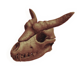 Fearsome Canine Skull