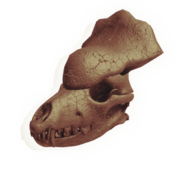Armoured Canine Skull