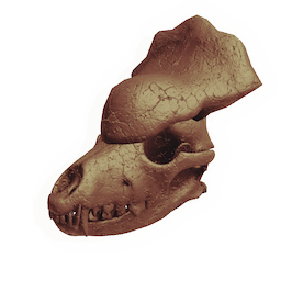 Armoured Canine Skull