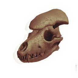 Scavenger Skull