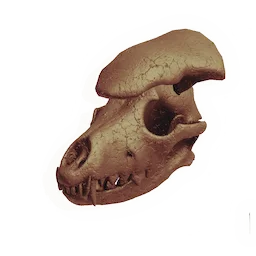 Scavenger Skull