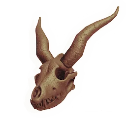 Skull of the Bone Thief