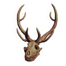 Malevolent Skull