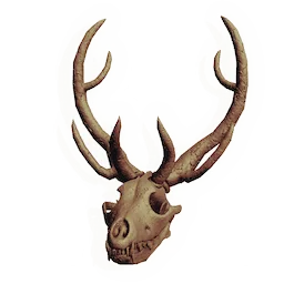 Malevolent Skull