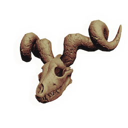 Haunted Skull