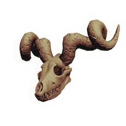 Haunted Skull