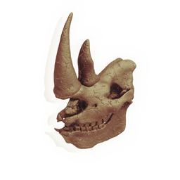 Skull of the Goring Wall