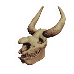 Styrax Skull