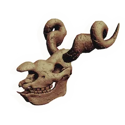 "dragon" Skull