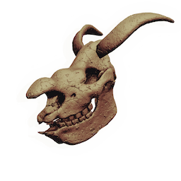 Oceanid Skull