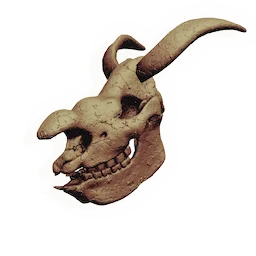 Oceanid Skull