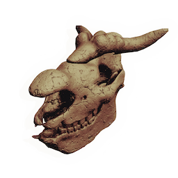 Cyclopean Skull
