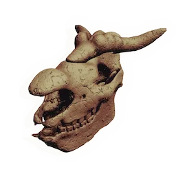 Cyclopean Skull