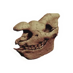 Megafauna Skull