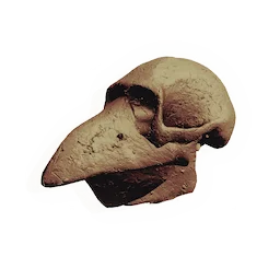 Masked Skull