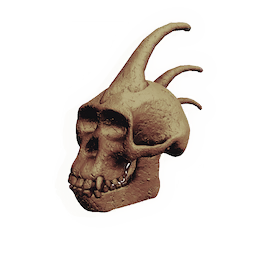 Warrior Skull