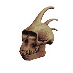 Warrior Skull