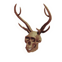 Unnameable Skull