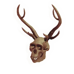 Unnameable Skull