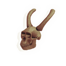 Skull of the Midnight Visitor