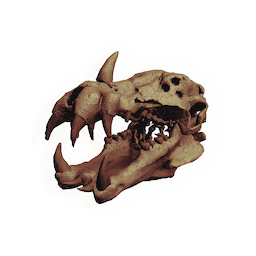 Leviathan Skull