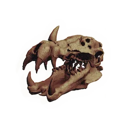 Leviathan Skull
