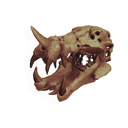 Worm Lord Skull