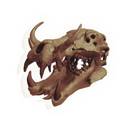 Skull of the Consumer