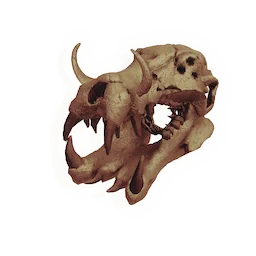 Skull of the Master