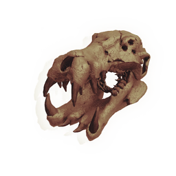 Skull of the Ocean King