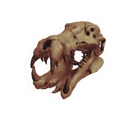 Skull of the Ocean King