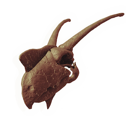 Fleshripper Skull
