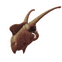 Fleshripper Skull