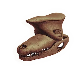 Swamp Dweller Skull