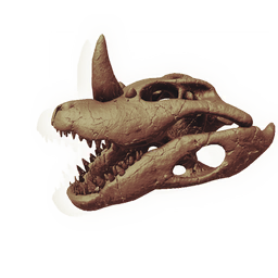 Mega-newt Skull