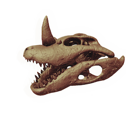 Mega-newt Skull