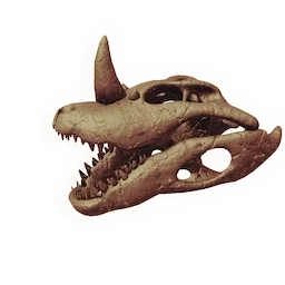Mega-newt Skull