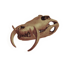 Sawtooth Skull