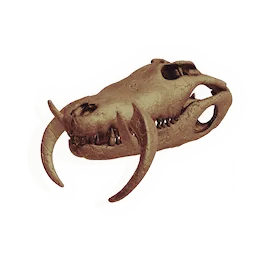 Sawtooth Skull
