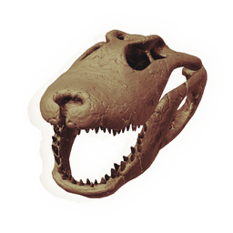 Skull of the Legsnapper